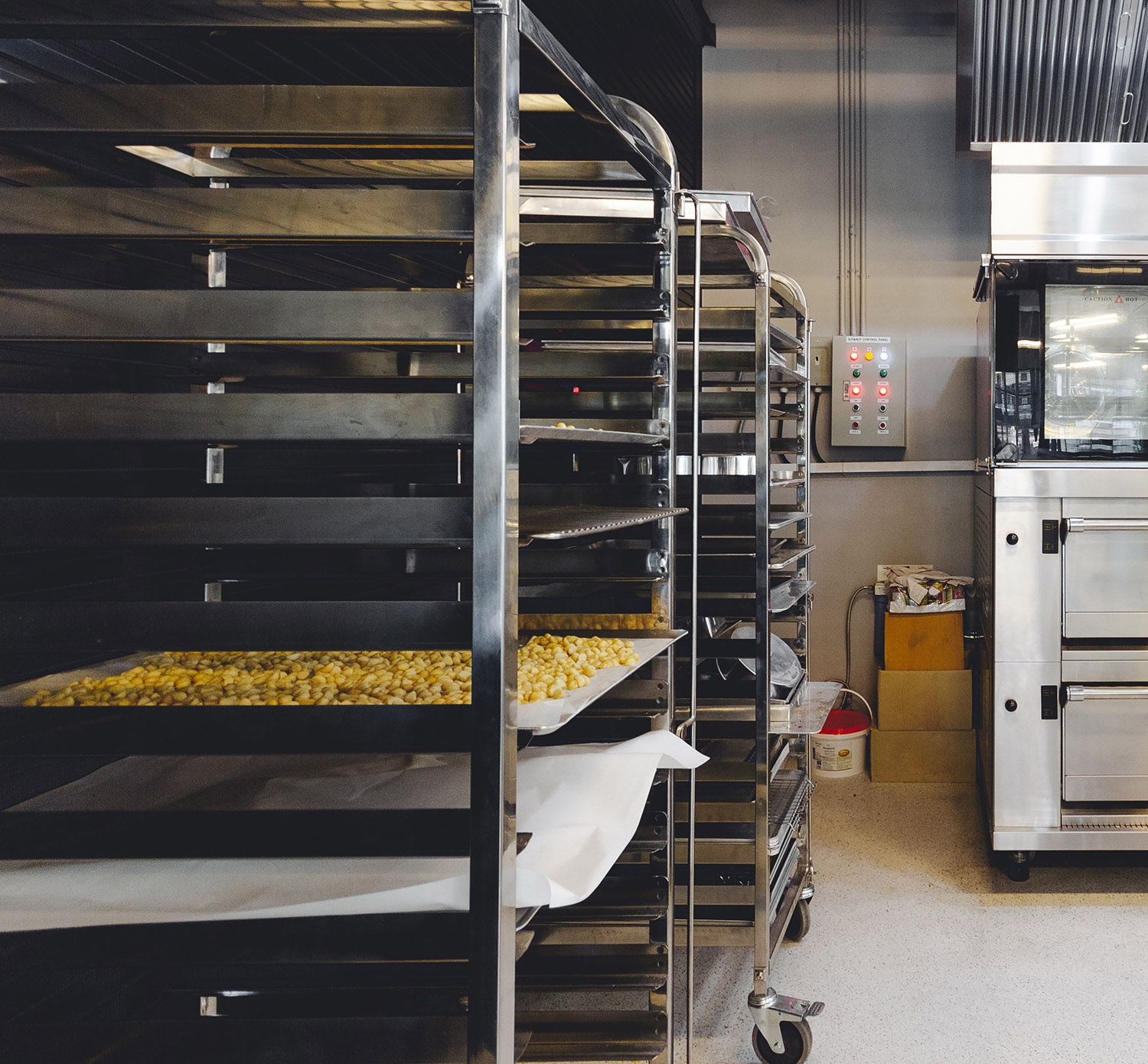 Regalwagen-1 Regalwagen-1