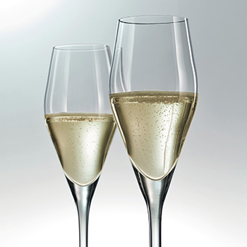 sekt-champagner sekt-champagner
