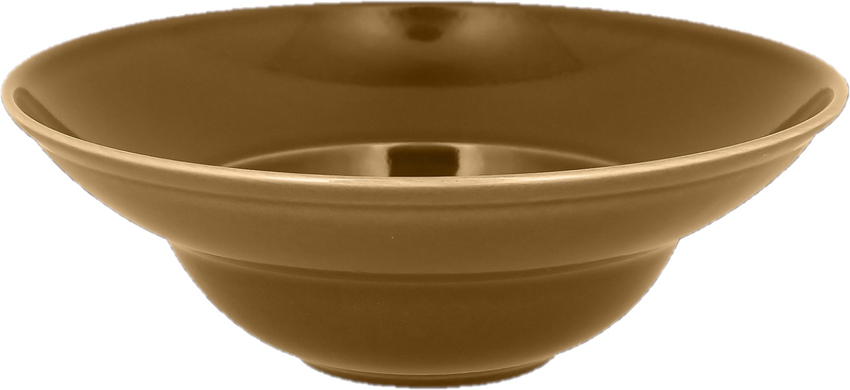 Teller extratief 22,7cm FUSION Chef´s Classic caramel Teller extratief 22,7cm FUSION Chef´s Classic caramel