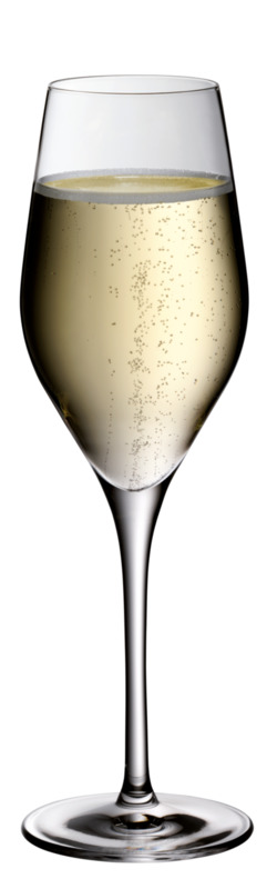Champagnerkelch 265ml 0,1l /-/ DIVINE 29