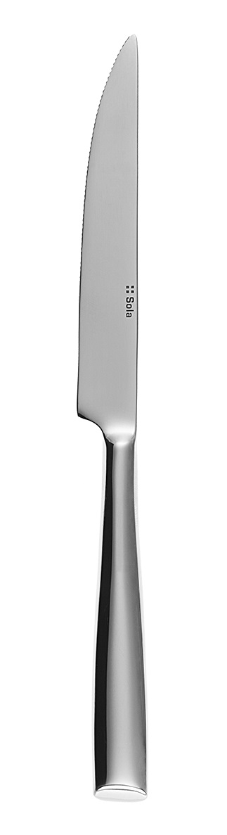 Steakmesser L 24cm VAIL 18/0 Vollheft